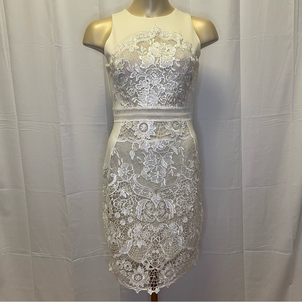 James Coviello for Anthropologie lace dress.